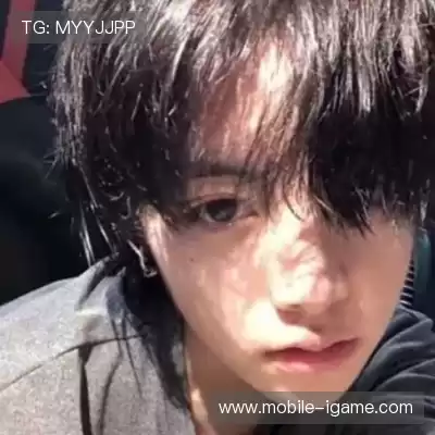 司达蕾